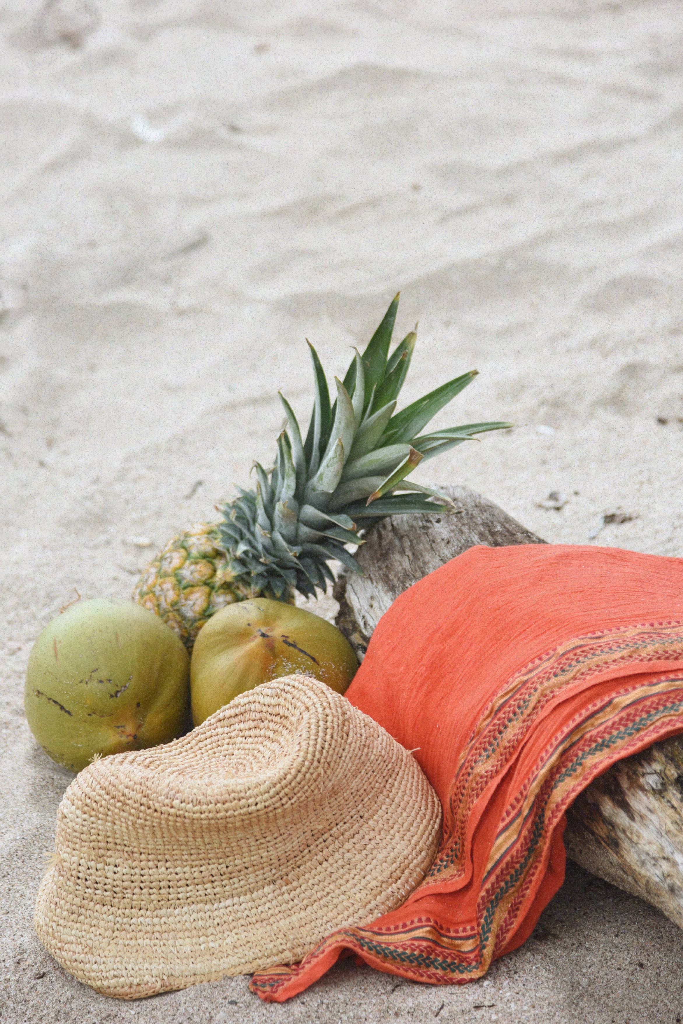 The Pareo // Honeybird - Image 4